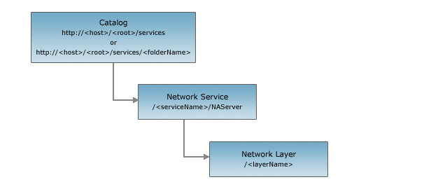 Network Layer